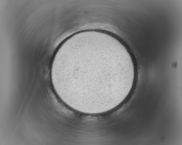 X0000112861505200909181748