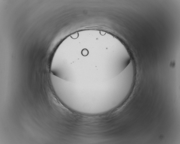 X0000112861506200909181748