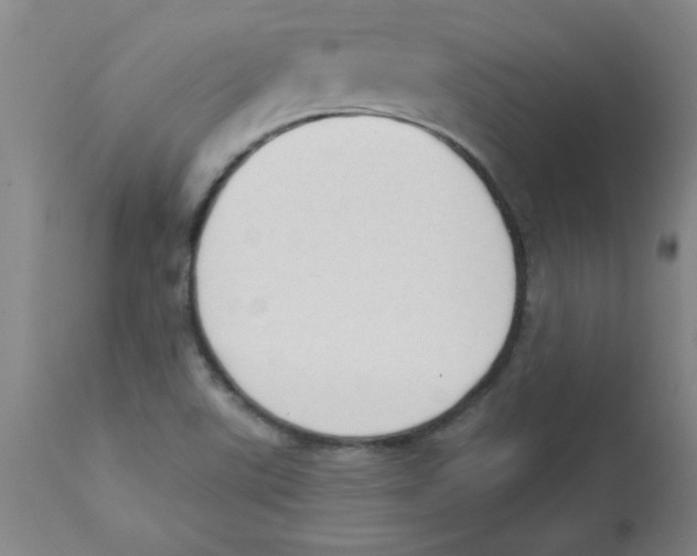 X0000112861507200909181748