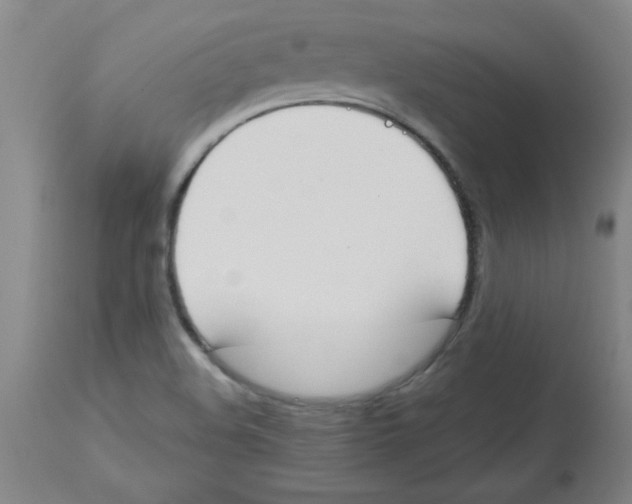 X0000112861508200909181748