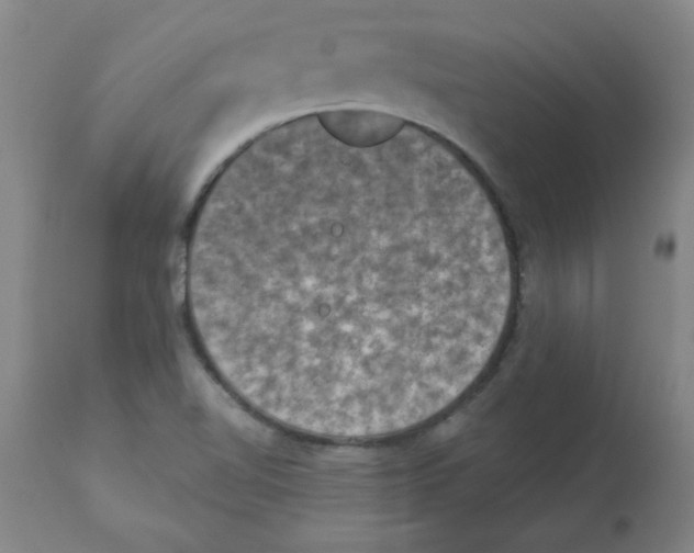 X0000112861510200909181748