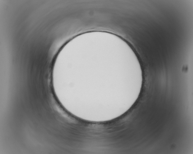 X0000112861511200909181748