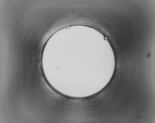 X0000112861512200909181748