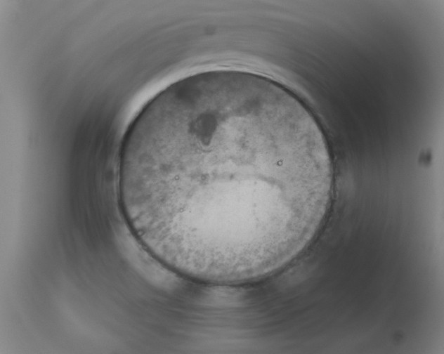 X0000112861514200909181748