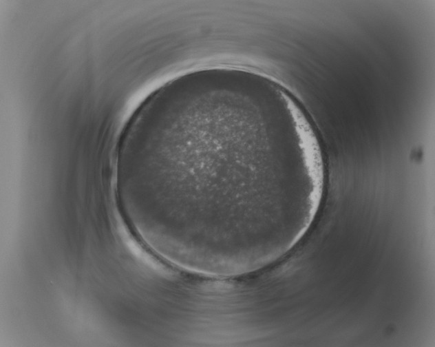 X0000112861515200909181748