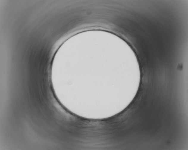 X0000112861516200909181748