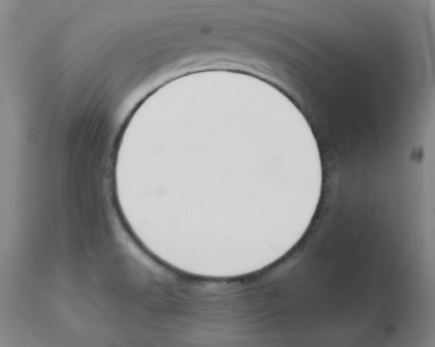 X0000112861518200909181748