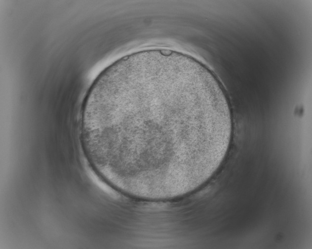 X0000112861519200909181748