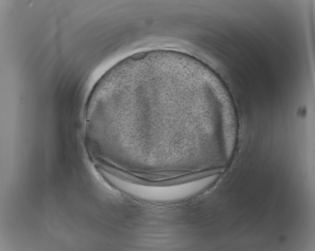 X0000112861520200909181748