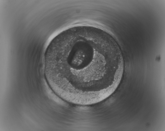 X0000112861522200909181748