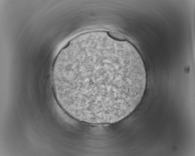 X0000112861524200909181748