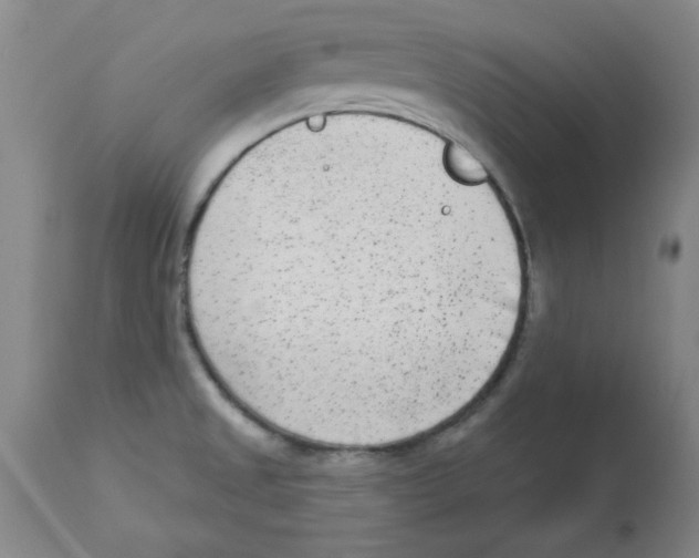 X0000112861525200909181748