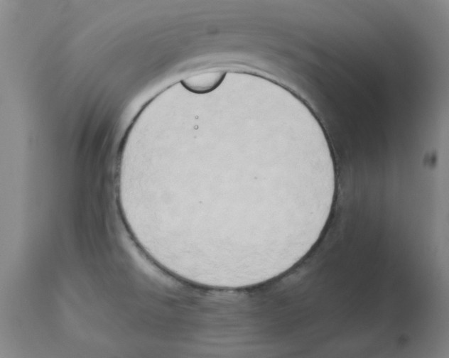 X0000112861526200909181748