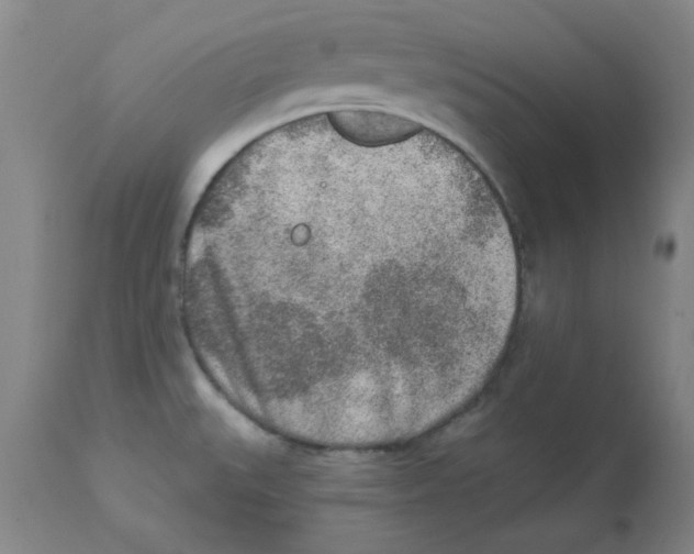 X0000112861527200909181748