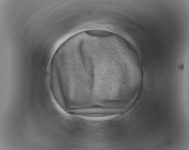 X0000112861528200909181748