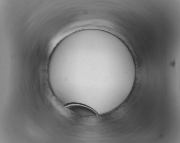 X0000112861530200909181748