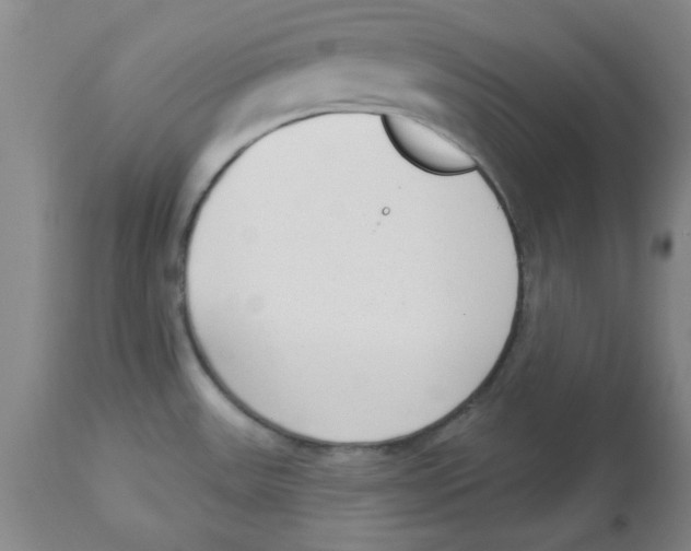 X0000112861531200909181748