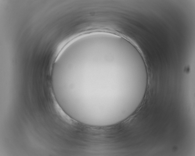 X0000112861532200909181748