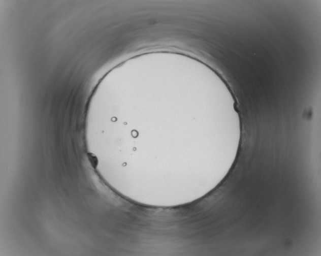 X0000112861534200909181748