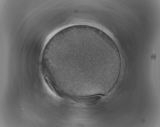 X0000112861536200909181748