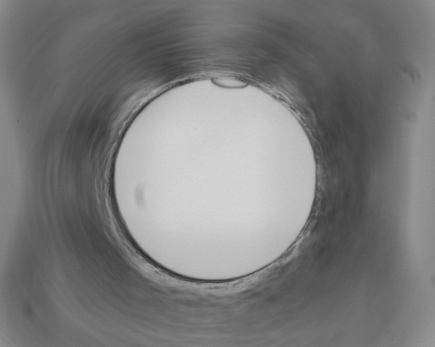 X0000112860001200910021321