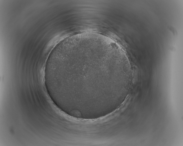X0000112860002200910021321