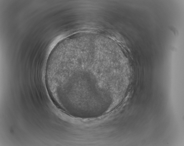 X0000112860003200910021321