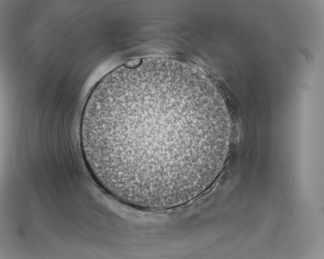 X0000112860004200910021321
