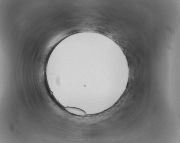 X0000112860005200910021321