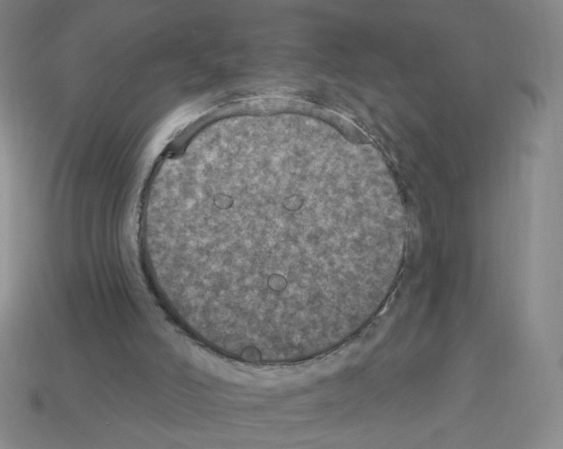 X0000112860006200910021321