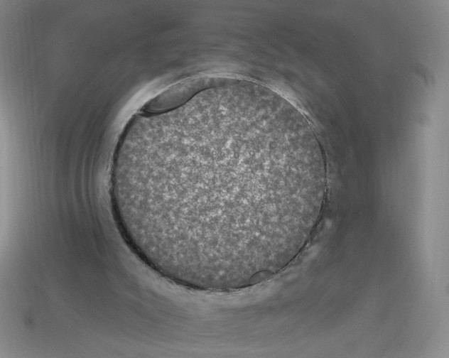 X0000112860007200910021321