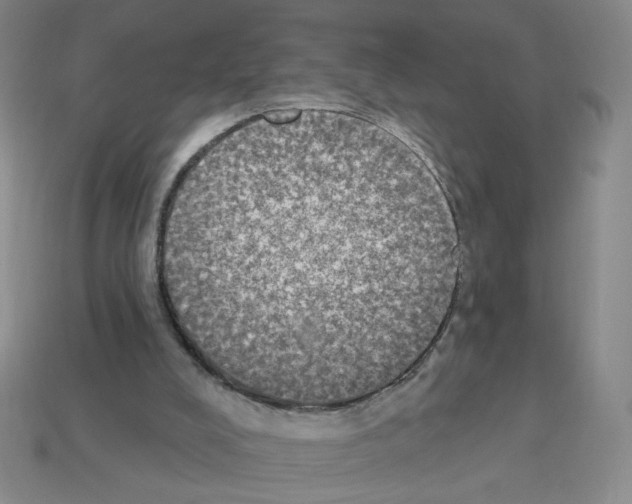 X0000112860008200910021321