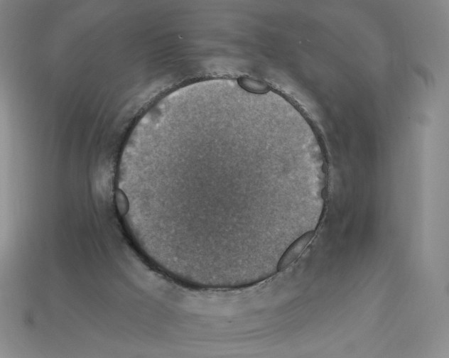 X0000112860009200910021321