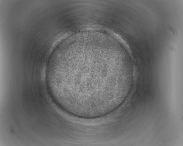 X0000112860010200910021321