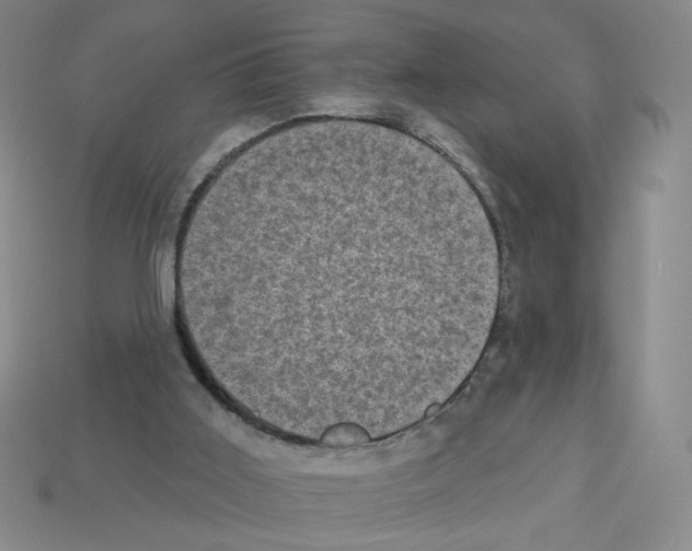 X0000112860011200910021321