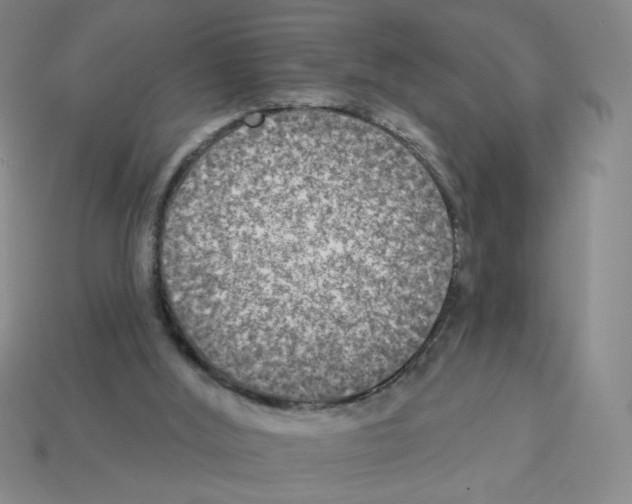 X0000112860012200910021321