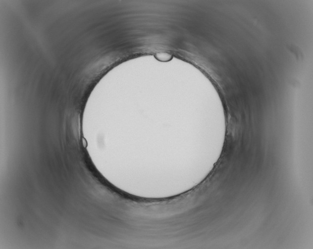 X0000112860013200910021321