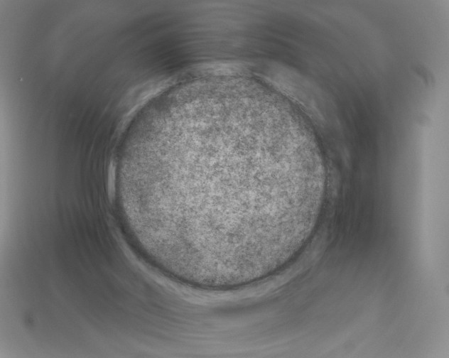 X0000112860014200910021321