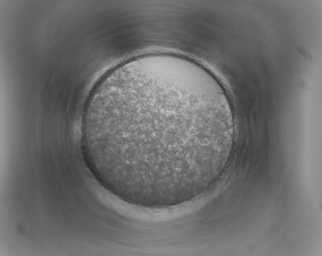 X0000112860015200910021321