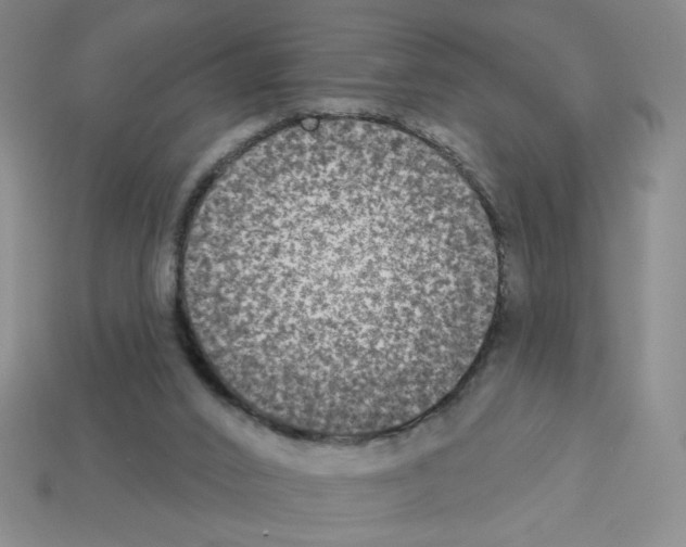 X0000112860016200910021321