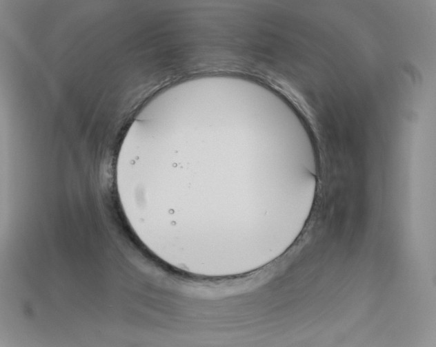X0000112860017200910021321