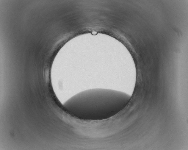 X0000112860019200910021321