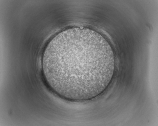 X0000112860020200910021321