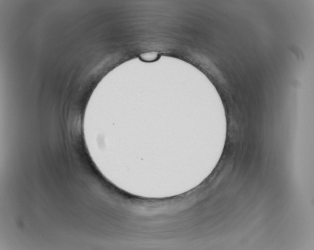 X0000112860021200910021321
