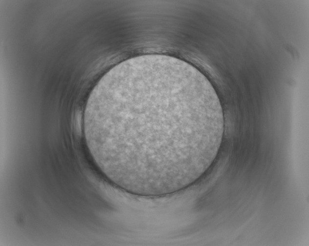 X0000112860022200910021321