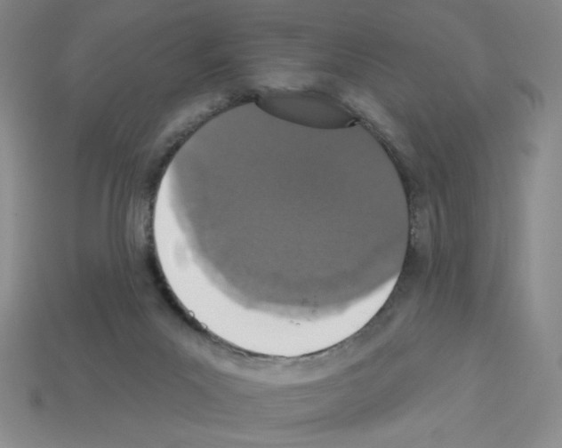 X0000112860023200910021321