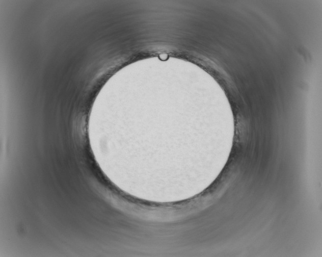 X0000112860024200910021321