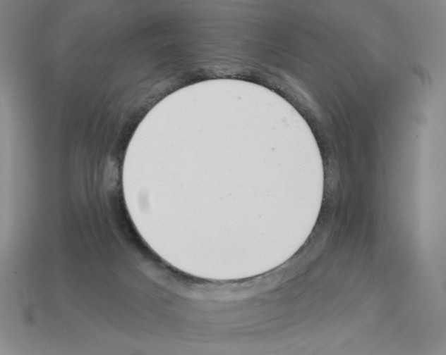 X0000112860025200910021321