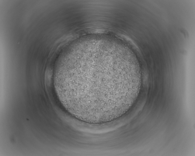 X0000112860026200910021321