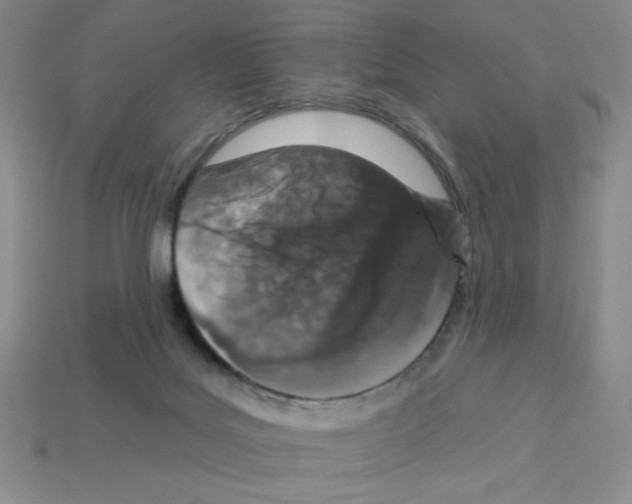 X0000112860027200910021321